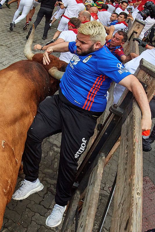 Uno de los toros de la ganadería sevillana de Miura alcanza a un corredor a su paso por el tramo de Telefónica.