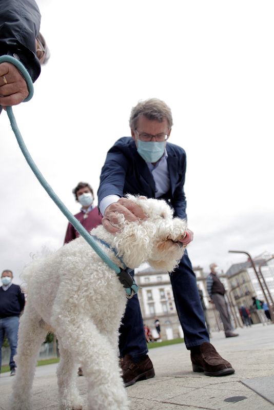 Feijóo acaricia un perro en A Coruña