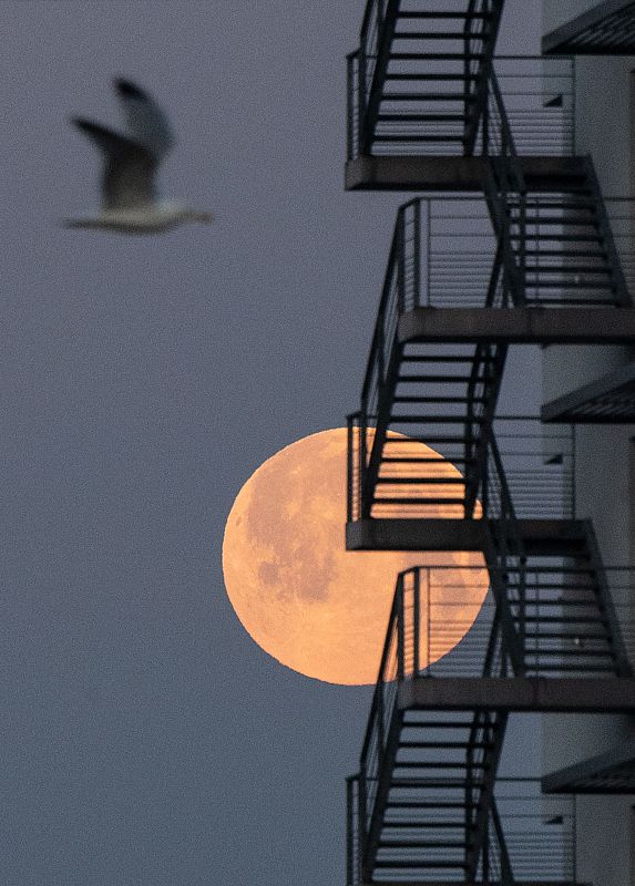 La luna llena de abril en Lorient, oeste de Francia.