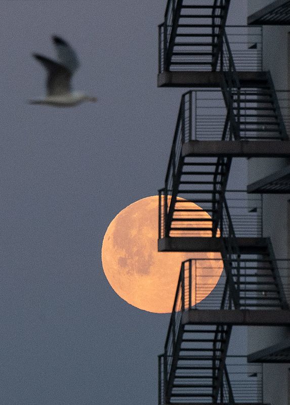 La luna llena de abril en Lorient, oeste de Francia. 