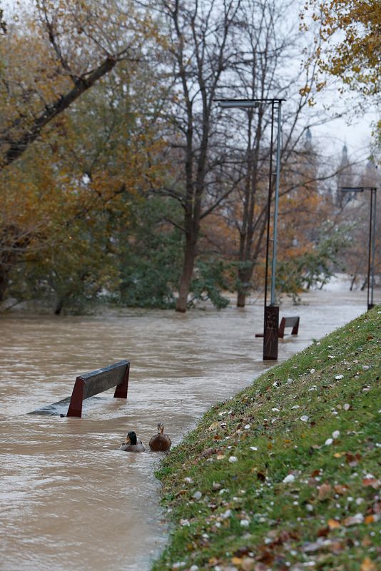 Crecida del Ebro a su paso por Zaragoza