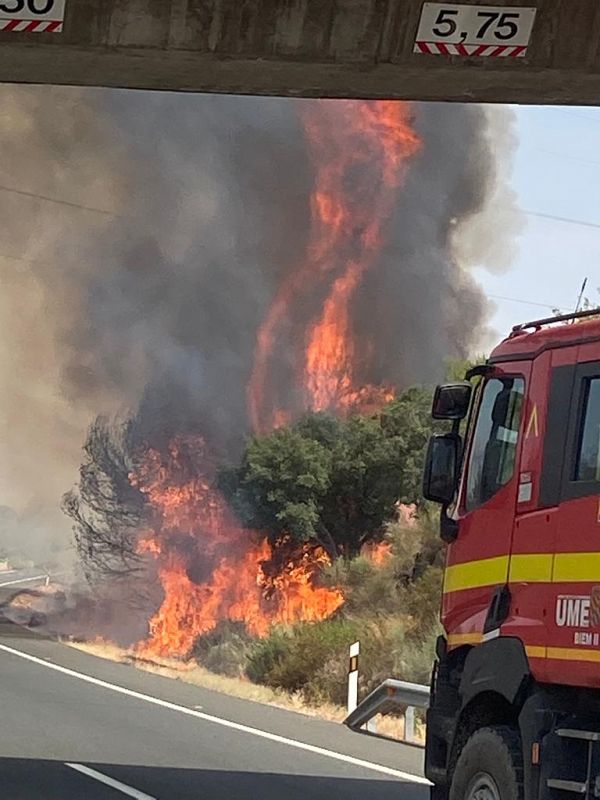 Nivel 2 de peligrosidad en Casas de Miravete