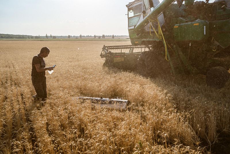 Hombre fotografiando bomba sin explotar en campo de trigo.  Cosechadora al fondo.  Ucrania.