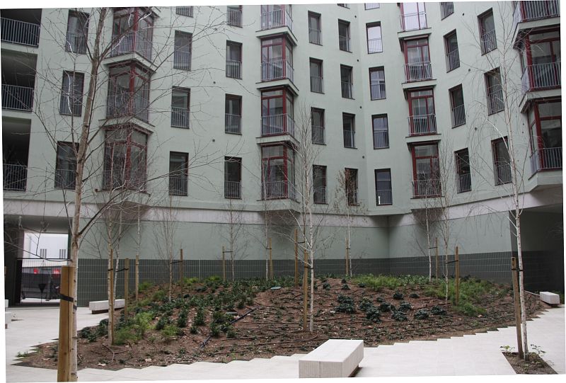 Patio ajardinado con árboles jóvenes, suelo claro y bancos, en un edificio de viviendas con numerosos balcones.  Ambiente tranquilo.