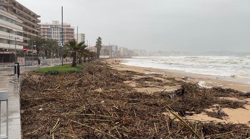 Una playa con arena cubierta de restos vegetales, con edificios y palmeras al fondo, bajo un cielo nublado y un mar con olas. El ambiente general sugiere desolación y abandono.