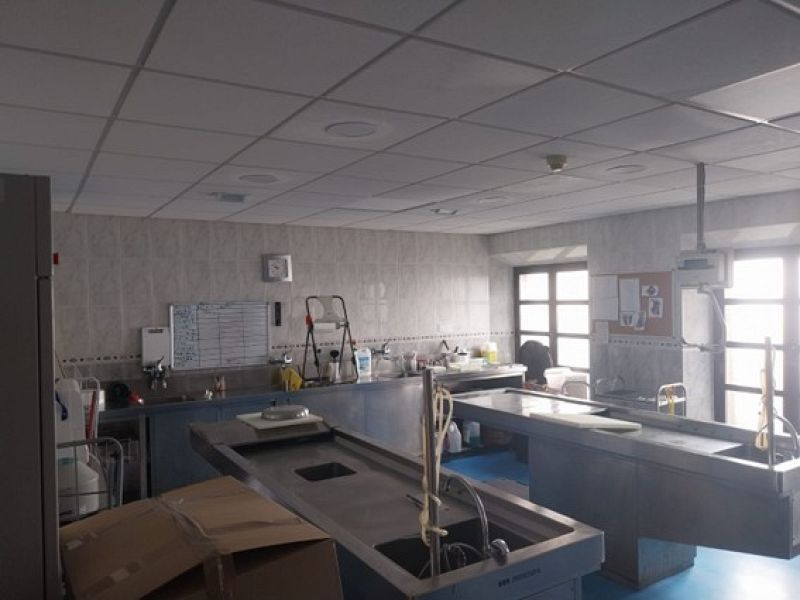 Interior de una sala de autopsias con mesas de acero inoxidable, encimeras con armarios azules y una pizarra con anotaciones. La sala, con luz natural, incluye una báscula y una escalera.