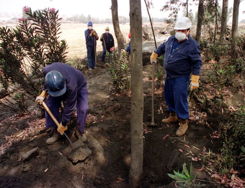 El vertido de Aznalcóllar fue 100 veces mayor que el del Prestige