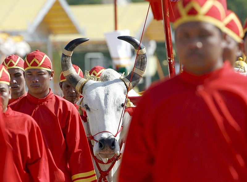 Ceremonia real de arado