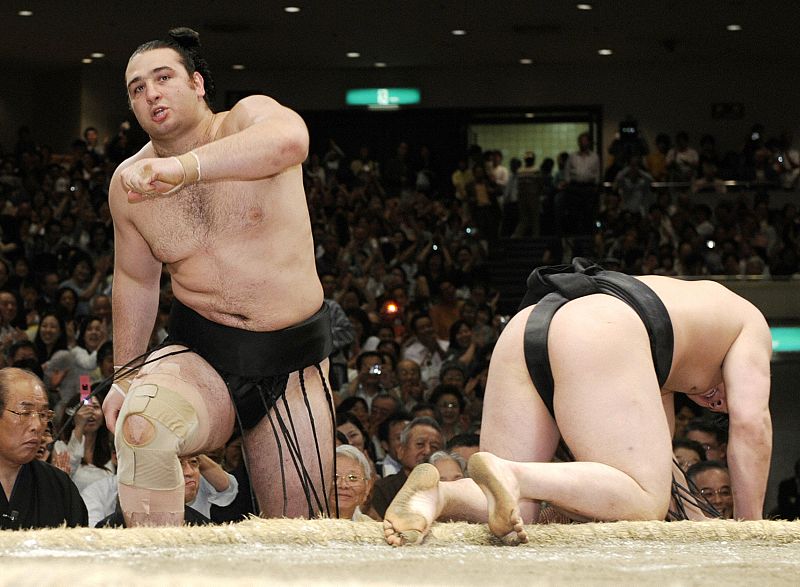 sumo