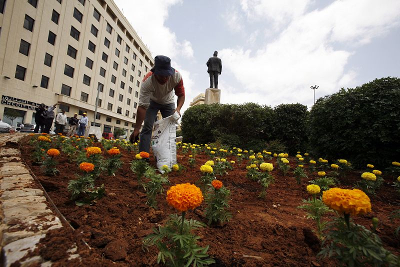 Lebanon's Hezbollah activists plant flowers at site where opposition had maintained protest encampment in downtown Beirut