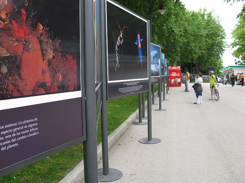 'Agua', en la Feria del Libro