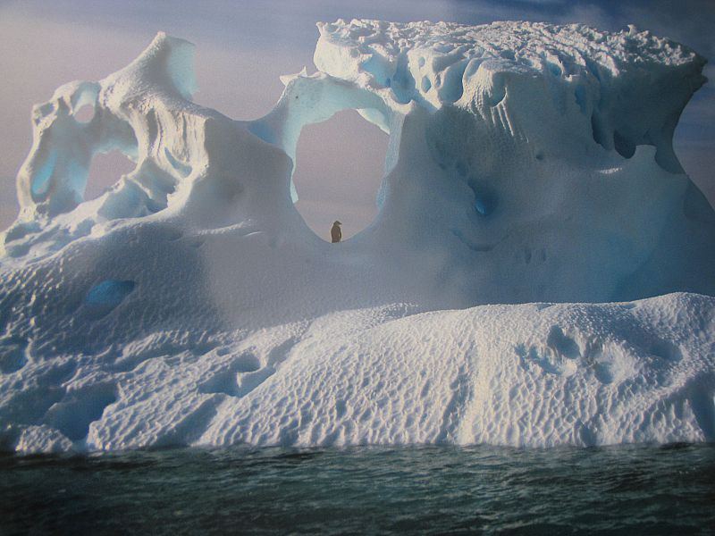 'Iceberg antártico'