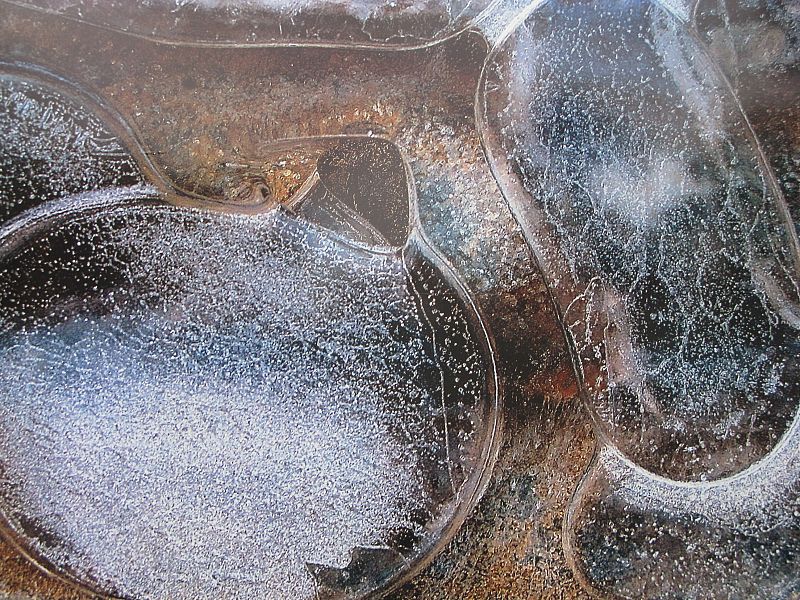 'La belleza del frío'