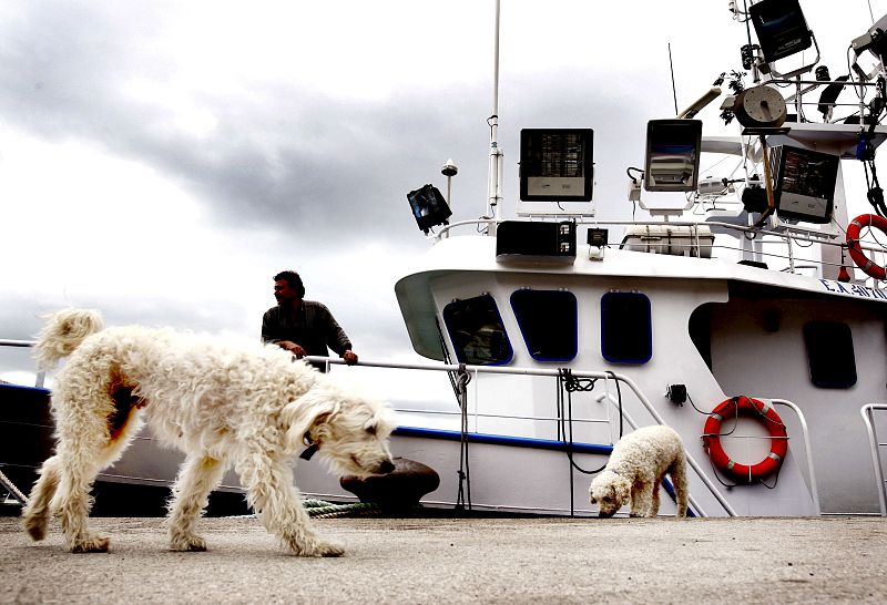En Santander, barcos amarrados