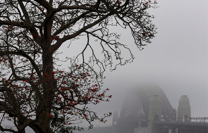 Niebla en Sidney