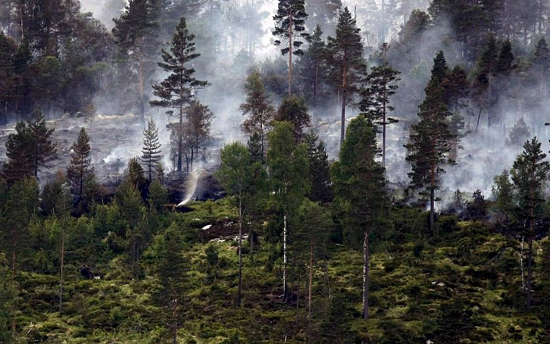 Incendio forestal en Noruega