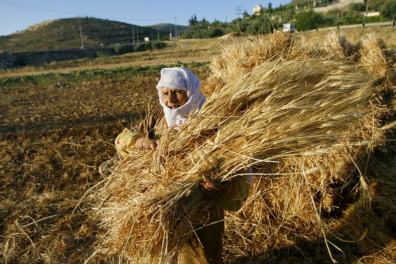 Granjera palestina