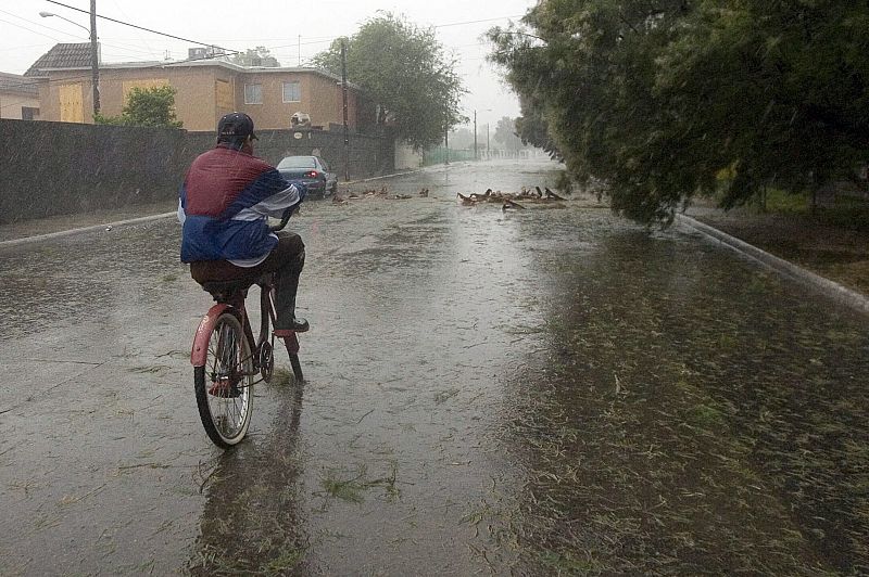 NORESTE DE MÉXICO ESPERA EN "ALERTA PERMANENTE" EL EMBATE DE HURACÁN "DOLLY"