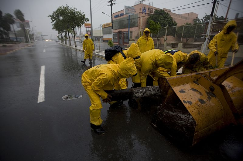 Un grupo de operarios municipales recogen un árbol arrancado por los vientos del huracán 'Dolly' en Matamoros (México).