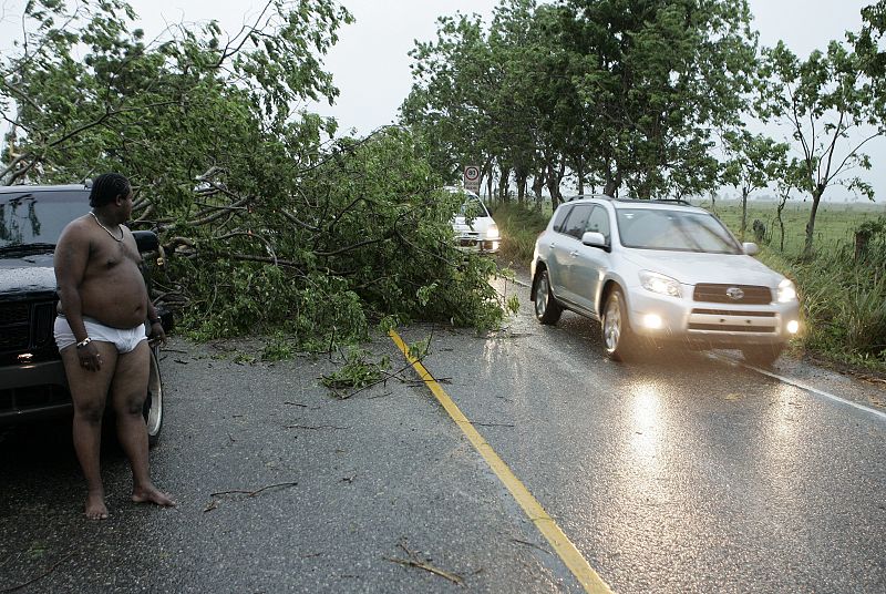 Un árbol cubre parte de la carretera La Romana- Higuey en República Dominicana