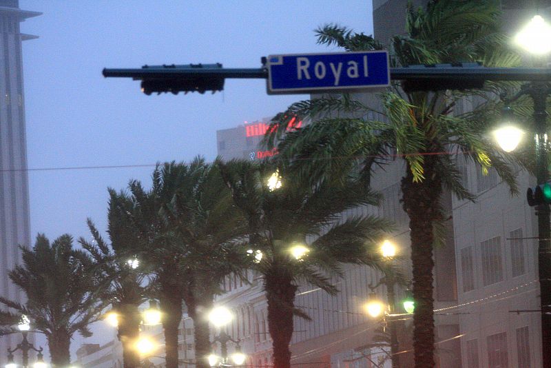 Fuertes vientos agitan las hojas de las palmeras después de que el huracán "Gustav" haya tomado tierra en Nueva Orleans.