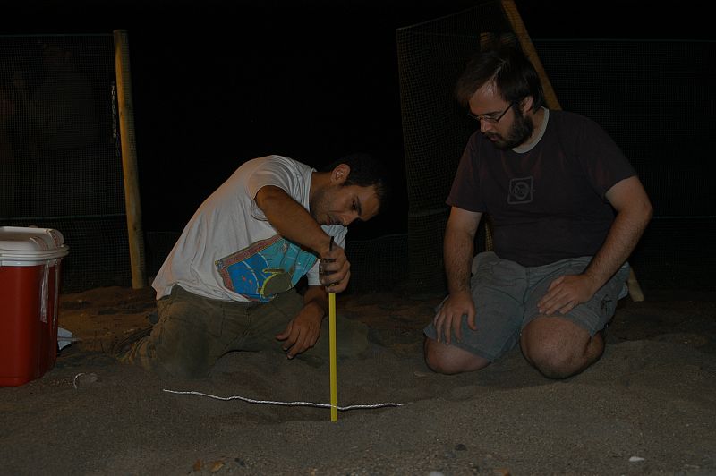 Juan Patiño, del CSIC, pone huevos de tortuga en Cabo de Gata