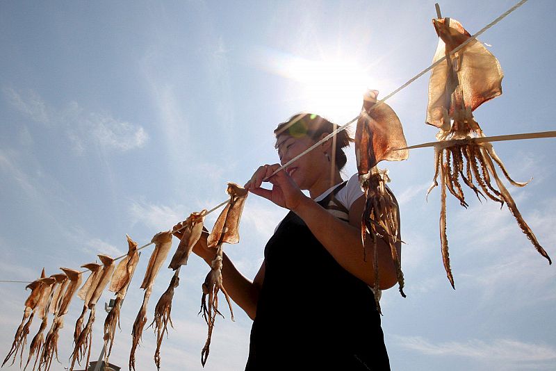 Calamares al sol