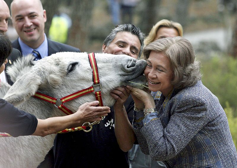 La Reina Sofía durante la visita que ha realizado a la Fundación Casa del Burro