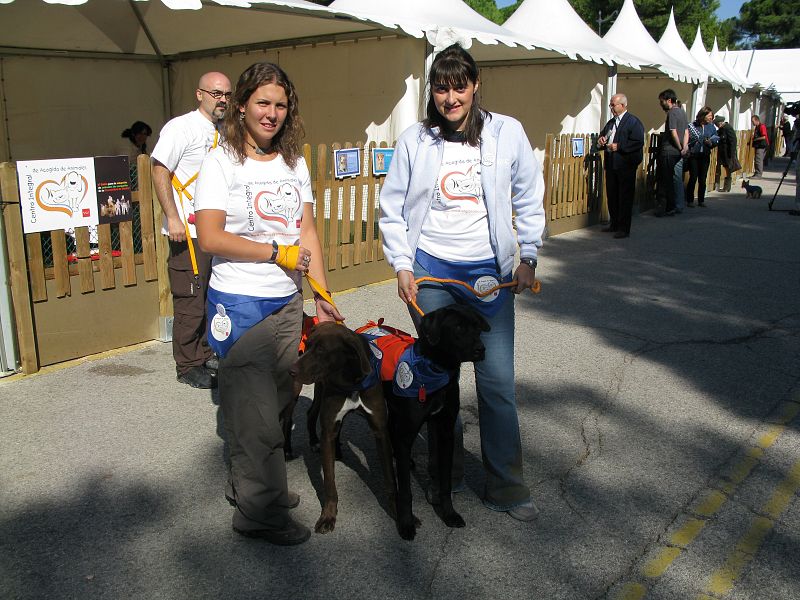 Dos voluntarias del Centro Integral de Recogida de Animales pasean por el Salón para la adopción de animales de compañía junto a dos perros de los que el centro muestra para que la gente pueda hacer pre- adopciones.