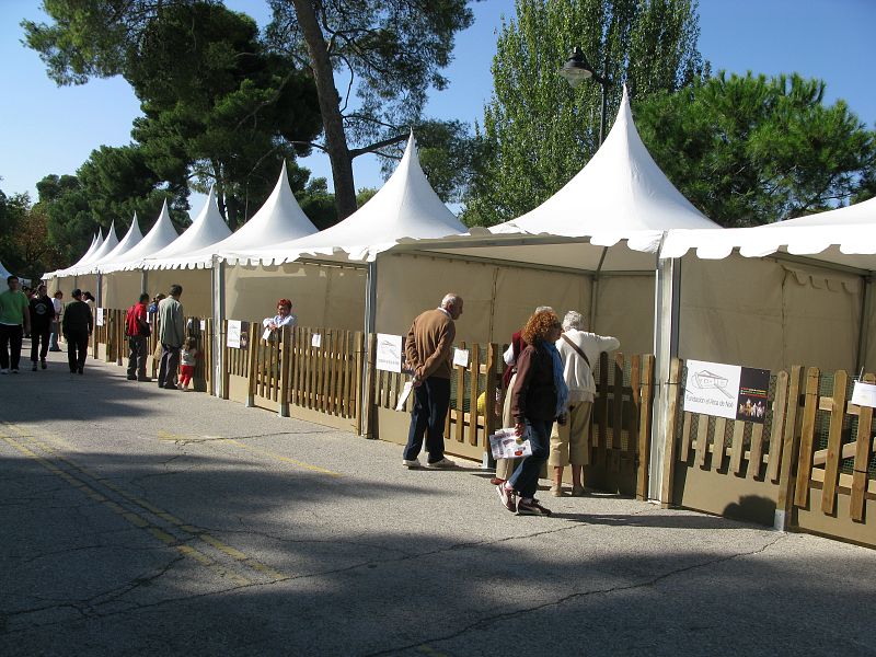 A estos dos hermanos los encontraron en un chalet en construcción. Sus nombres, Piso y Bungalow, sorprenden a los que se acercan a la caseta de gatos del Salón de Adopción de Animales de Compañía.