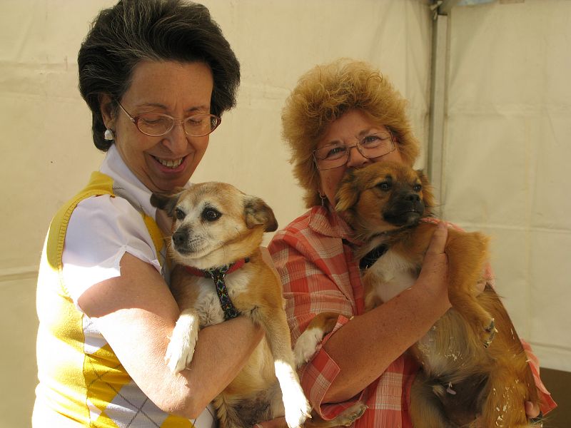 Dos voluntarias del Sociedad Protectora de Animales y Plantas de Madrid posan con una perra y un perro que se podrán adoptar en el Salón para la Adopción de Animales de Compañía de la Comunidad de Madrid.