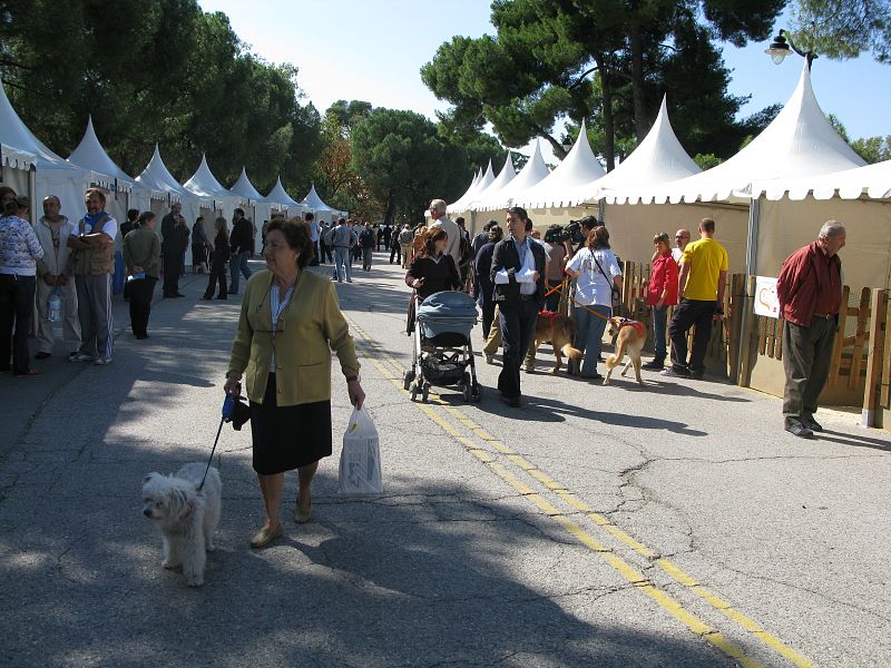 Son muchos los ciudadanos que se acercan con sus propias mascotas al salón de adopción animal. Algunos dicen que se animarán y adoptarán otro.