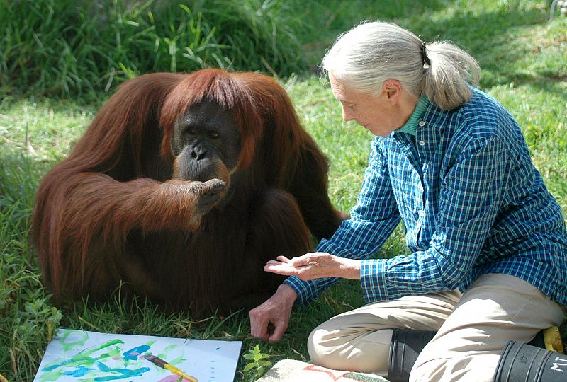 JANE GOODALL EN PERTH