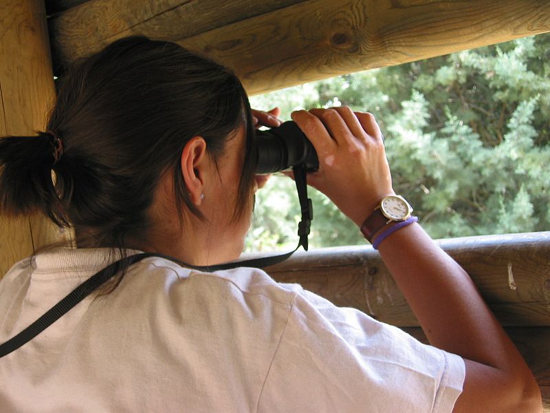 Observando aves desde un observatorio camuflado.