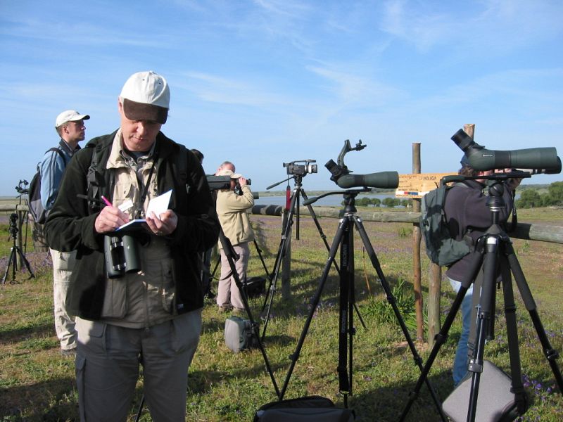 Observación de aves en el campo.