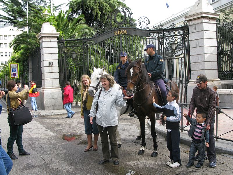 Policía a caballo