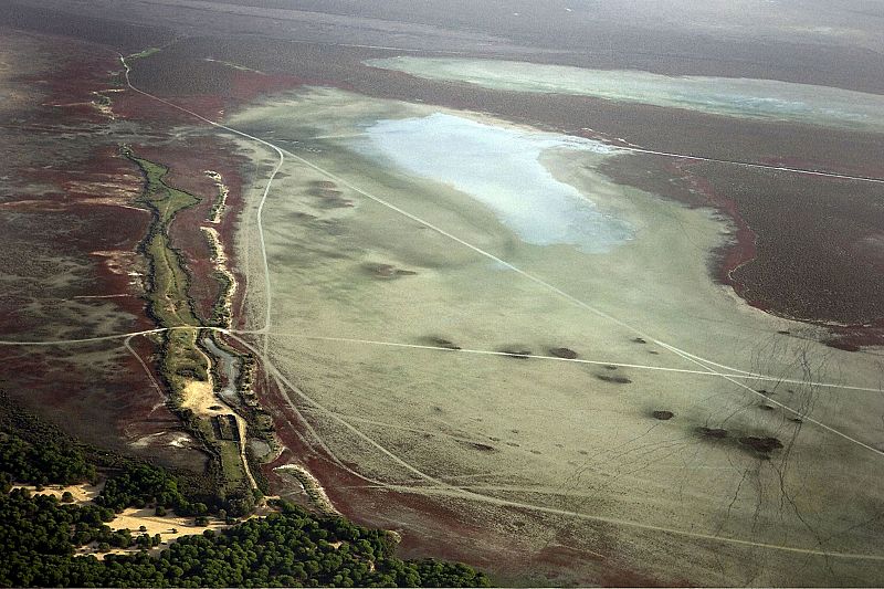 DOÑANA