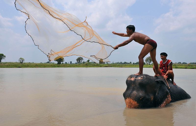 Una imagen tradicional de Tailandia: cuidadores de elefantes