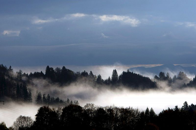 NEBLINA EN UN PARAJE ALPINO