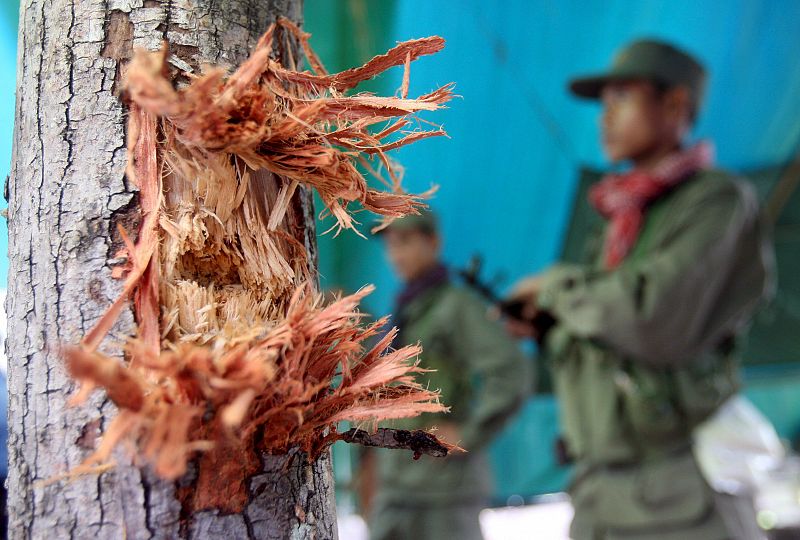 ACUERDAN EL CESE DE LAS HOSTILIDADES EN ZONA FRONTERIZA TEMPLO PREAH VIHEAR