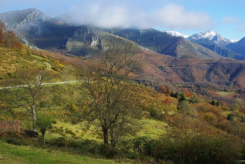 Collada de Arnicio, Asturias. 10/12/2008