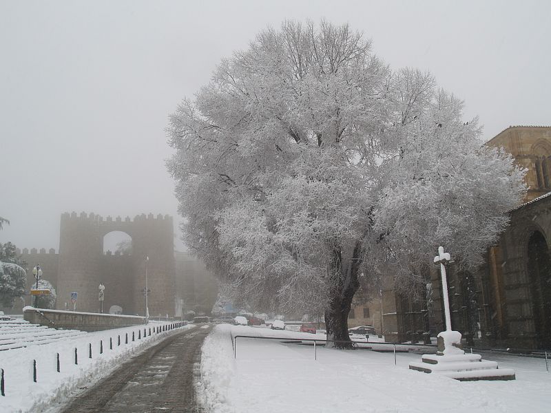 Paisajes de Ávila con nieve. 10/12/2008