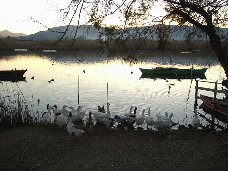 El Marenyet-Cullera, Valencia
