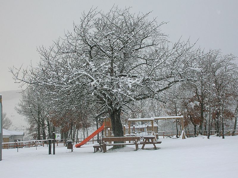 Quintanilla del Rebollar, Burgos. 12/12/2008