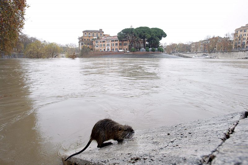 INUNDACIONES EN EL CENTRO DE ROMA