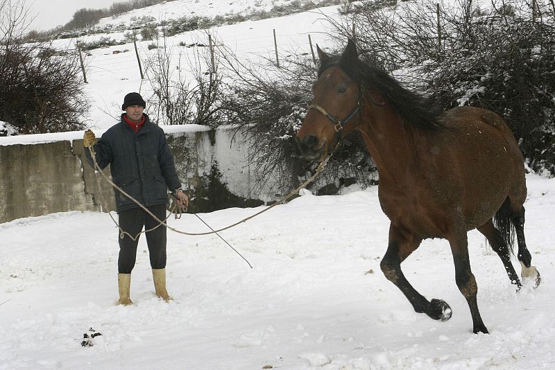 Un vecino entrena a su caballo sobre la nieve caida en San Salvador de Cantamuda, provincia de Palencia.