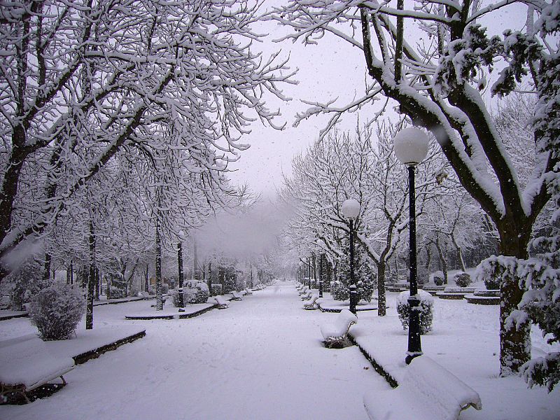 Parque de 'La Dehesa', Soria. 14/12/2008