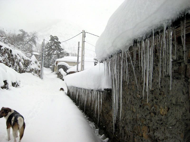Salientes, León. 15/12/2008