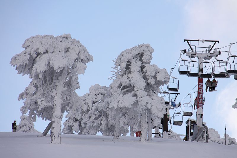 Navacerrada, Madrid. 13/12/2008