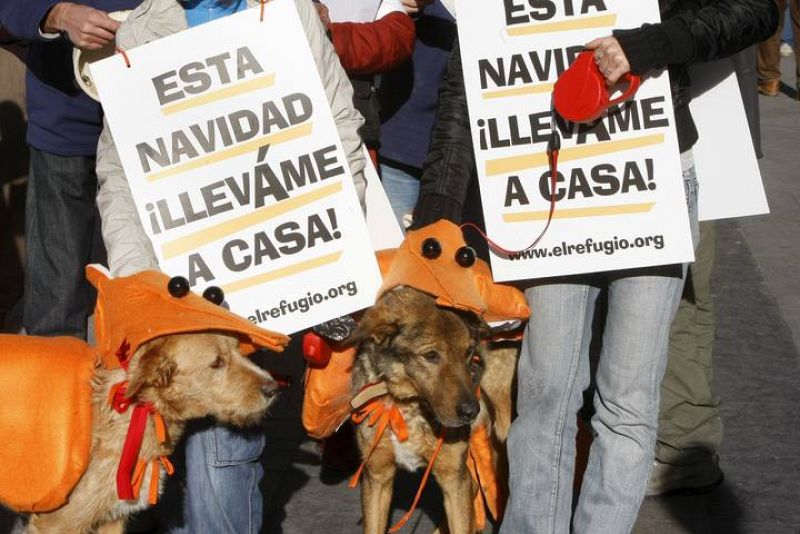 CAMPAÑA DE NAVIDAD ASOCIACIÓN 'EL REFUGIO'
